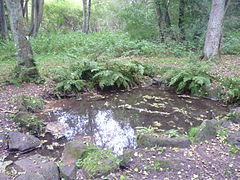 Silbersandquelle bei Kirkel