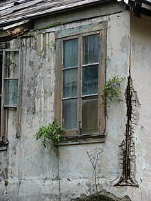 Plant growth on the exterior of a dilapidated wall. Starr-080610-8075-Ficus microcarpa-small plants on building-Cable Company buildings Sand Island-Midway Atoll (24825186481).jpg