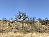 Alter Steinbruch im Landkreis Waldeck-Frankenberg