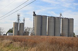 Grain elevator at Swanders