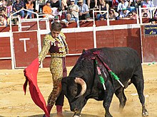 Một dũng sĩ đấu bò tót (torero)