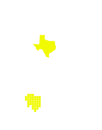 TX yellow.svg