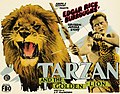 Poster do filme Tarzan and the Golden Lion (1927)