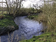 The fish pass