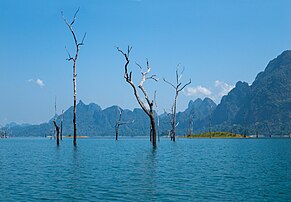 Arbres recouverts par le réservoir Cheow Lan, dans le parc national de Khao Sok (province thaïlandaise de Surat Thani). (définition réelle 4 032 × 2 800)