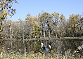 TrempealeauNationalWildlifeRefugeTreesWaterGrasslands.jpg