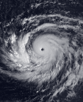 Тайфун Кейт в период максимальной силы 1 ноября