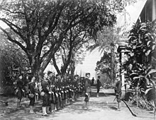 row of men with rifles