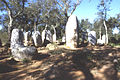 Le cromlech de Portela de Mogos