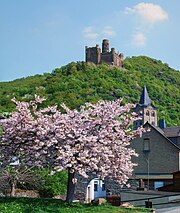 Wellmich mit Stadtbefestigung, Turm der Pfarrkirche St. Martin und Burg Maus