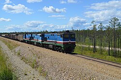 Locomotief met goederenwagons bij het station (2015)