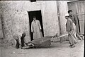 File:1947 Arab-Israeli War (997008136104905171).jpg vt crucem portare