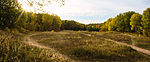 Dünenlandschaft in den Baumbergen