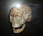 100 000 éves homo sapiens koponya