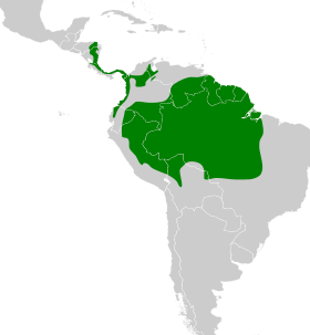 Distribución geográfica del batará lineado.