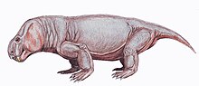 Dicynodon trautsholdi 1 DB.jpg