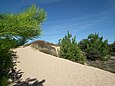 Dunes à Boyardville