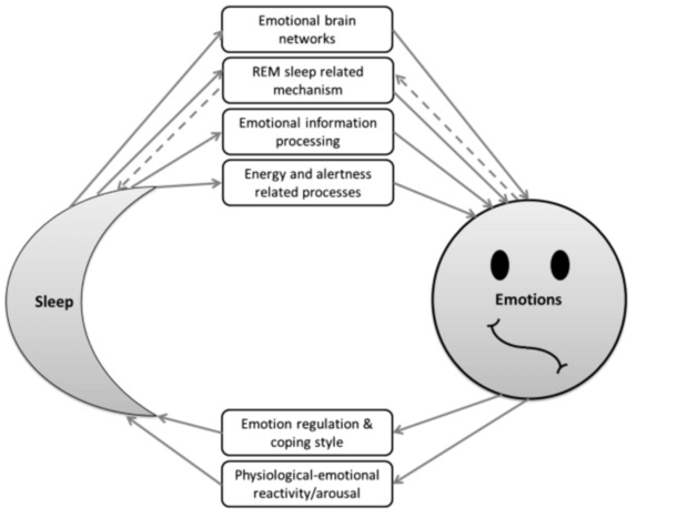 https://www.sciencedirect.com/science/article/pii/S0167876013001475?via%3Dihub