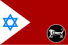 דגל פיקוד המרכז