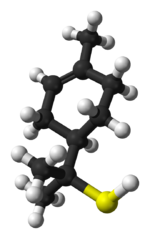 分子模型