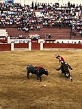 Miniatura para Guillermo Hermoso de Mendoza