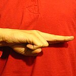 The "H" handshape produced with the the pinky-finger edge of the palm facing the camera