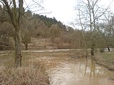 Hochwasser führender Hergstbach an der Mündung