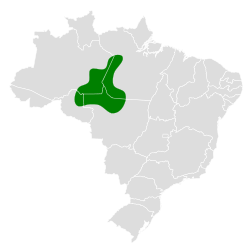 Distribución geográfica del tororoí de Alta Floresta.