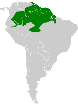 Distribución geográfica del hormiguero barbinegro.
