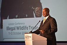 Yoweri Museveni speaking at the Illegal Wildlife Trade Conference in London, October 2018 Illegal Wildlife Trade Conference London 2018 (44526034314).jpg