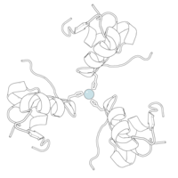 Черно-белая ленточная диаграмма гексамера инсулина свиньи, показывающая его характерную четвертичную структуру. В центре - бледная сине-серая сфера, представляющая атом цинка.