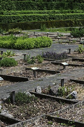 Image illustrative de l’article Jardin des plantes médicinales Paul Moens