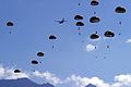 Legionnaires parachute from a C-160 while training at Camp Raffalli in Corsica.