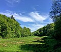 Naturschutzgebiet Weltersbachtal