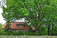 Naturdenkmal Eiche in Schillerslage (ND-H 170)