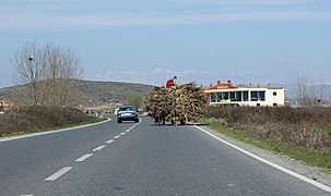 Oktober: Alltag auf Albaniens Straßen – hier auf der SH1 südlich von Shkodra