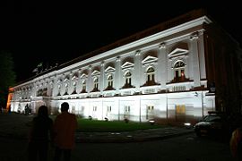 Palácio dos Leões