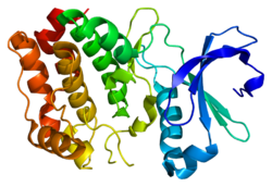 Протеин AURKA PDB 1mq4.png