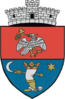 Coat of arms of Budila