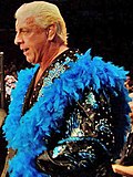 Thumbnail for Ric Flair