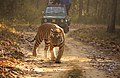 09:13, 6 மார்ச்சு 2013 இலிருந்த பதிப்புக்கான சிறு தோற்றம்