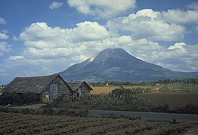 Сінабунг, 1987