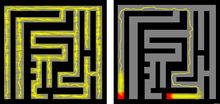 A slime mold solves a maze. The mold (yellow) explored and filled the maze (left). When the researchers placed sugar (red) at two separate points, the mold concentrated most of its mass there and left only the most efficient connection between the two points (right). Slime mold solves maze.png