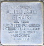 Stolperstein für Alfred Jakob Strauss (Kartause 9 1/4)