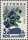 The Soviet Union 1964 CPA 3133 stamp (Wild Berries. European blueberry or bilberry (Vaccinium myrtillus)).jpg