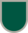 US Army 1st Special Forces Command Flash.png