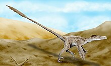 Vue de profil d'un dinosaure bipède recouvert de plumes, avec des petites ailes, des doigts griffus, et une longue queue.