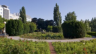 Rosarium Wettsteinpark de Viena en Viena.