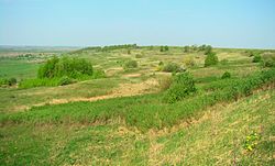 Steppe landscape in Pochinkovsky District