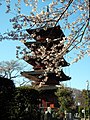 池上本門寺